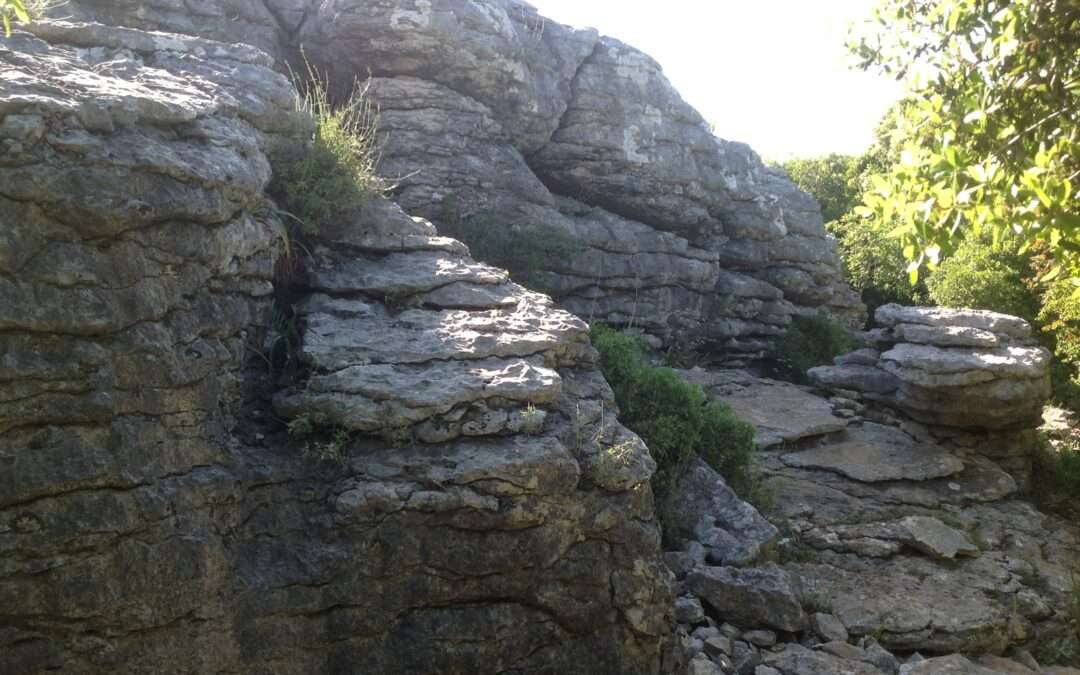 ו' 15.3.24 | טיול לכפרי הדרוזים בגליל, נחל צלמון ופארק הסלעים בכיסרא