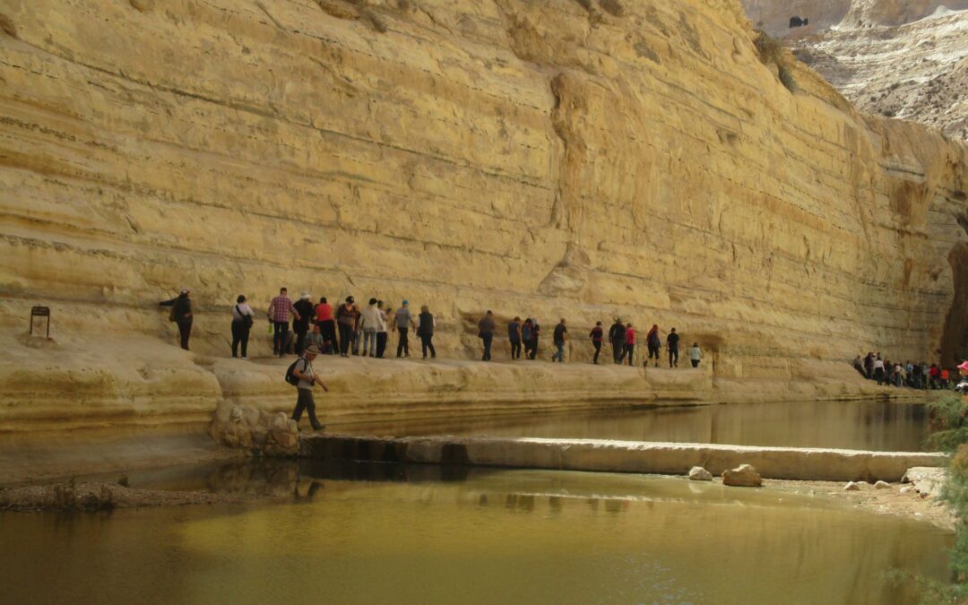 שבת 29.3.25 | טיול לעין עבדת ושיבטה: בעקבות ״אדוני המדבר״