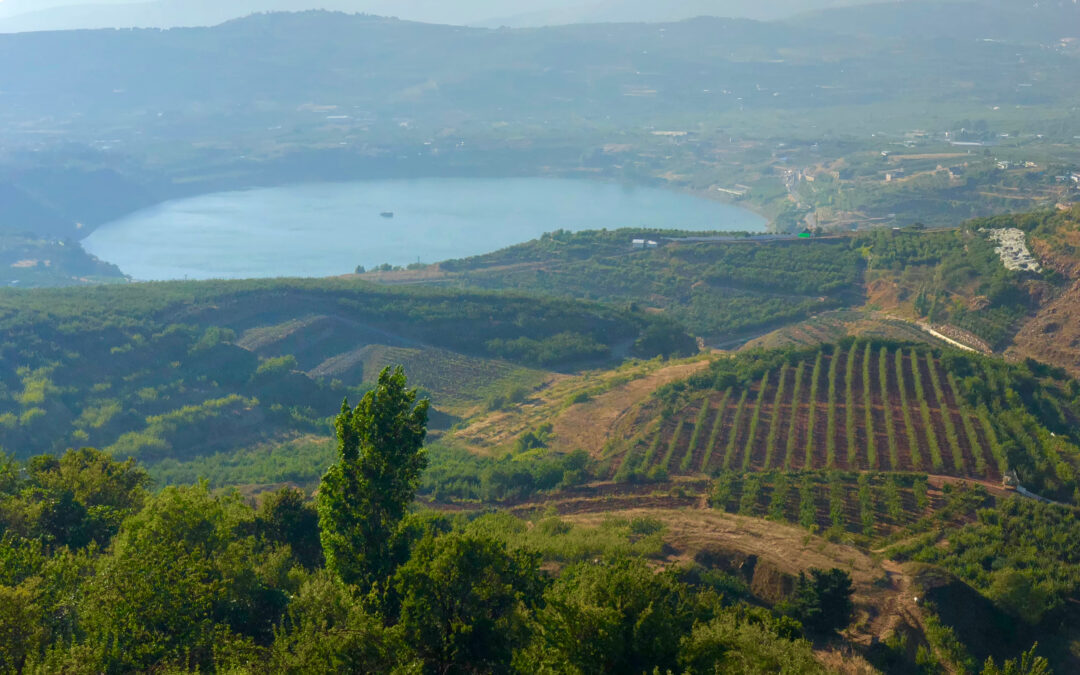 שבת 28.2.26 | טיול לרמת הגולן: זרימות ומפלים לאחר הגשמים