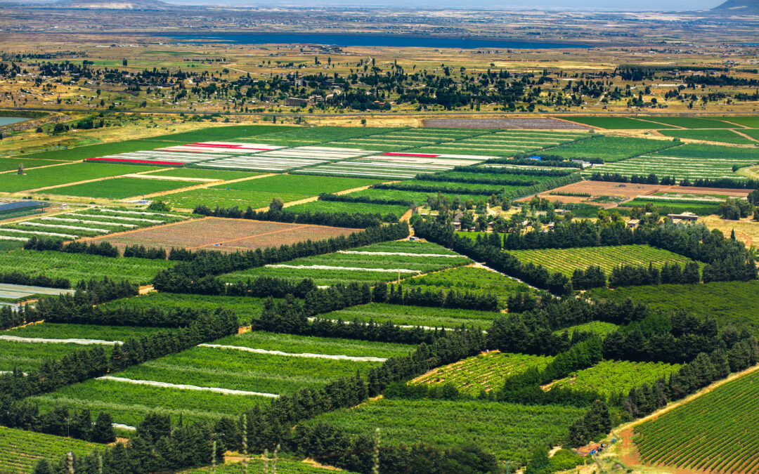ש 29.3.25 רמת הגולן: בעקבות אלי כהן, פרשיות ריגול ושפע מים