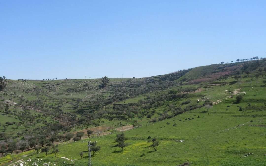 שבת 30.4.22 | נחל גוש חלב, בתי כנסת עתיקים ו׳קירות מדברים׳