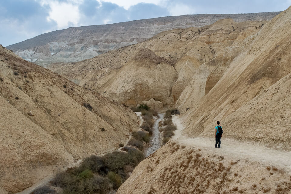 יום שישי 4.8.23 | טיול ליילי בנחל חווארים