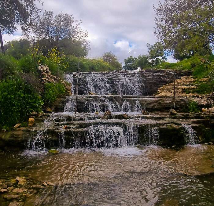 ד' 18.2.26 | טיול לבית שערים, מפלי רז, נחל שופט – פריחה וזרימה בהר ובעמק